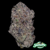 Donkey Butter⭐️⭐️⭐️⭐️⭐️ (30% THC) – Funky, Gassy, and Devastatingly Strong $120 oz $180 2 ozs