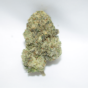 Gas Mask Indica Dominant Hybrid AAA