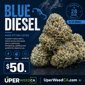 (28g) - Blue Diesel💙⛽Indica | Qp Bulk Deal for $200