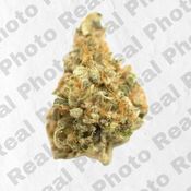 Donny Burger (3.5g - 1/8oz) - PREMIUM FLOWER - Hybrid