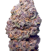 $55 ON SALE!! ~ { Purple Octane } 
