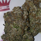 California Pink
