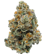 *ALERT NEW STRAIN* BC (AAAA+) PLATINUM PUNCH ( OZ & 1/2 OZ SALE )