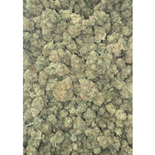 PEANUT BUTTER ROCKSTAR 85OZ  2FOR$160 4FOR300 thumbnail 2