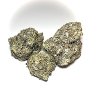 (Star Dust-Terped Bud) Sugar Puss AAAA++ 