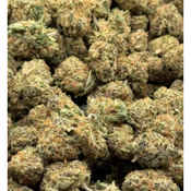 *SILVER* Cheese Tart - Hybrid - 26% THC