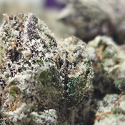 (NEW) LIT Farms Purple Runtz 💜 ($100/Oz or 2x Oz For $180) 🔥 🔥  thumbnail 4
