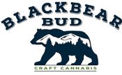 Black Bear Bud - Grand Opening!
