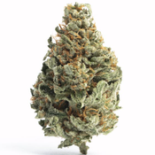 $200 FOR QP - Apple Runtz Kush 