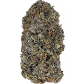Astro Pink | GAS HIGH QUALITY