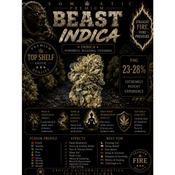 Beast | INDICA | 23-28% THC | $60 an oz | $85 for 2 ozs | $140 for 4 ozs | $240 for 8 ozs | 