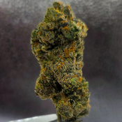 Black Cherry Punch AAAA thumbnail 2