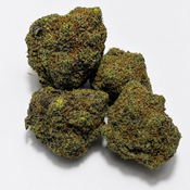 Gelato Dream
