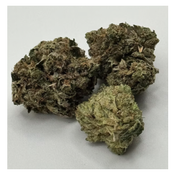 *GOLD* WICKED TUNA - 30% THC - INDICA