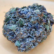 (5 STARS) Bluefin Tuna Kush 💯🔥💣⛽️ 2 Oz for 250 