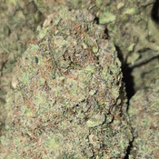 GAS MAC 120oz 2for220 4for420 thumbnail 3