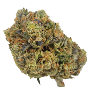 *ALERT NEW STRAIN* BC (AAAA) GAS GOD