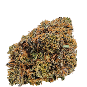 *ALERT NEW STRAIN* BC (AAAA+) DEADFIRE OG