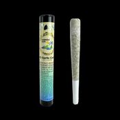 Creme De Canna - Coastal Sun - Infused Pre Roll - GMO Garlic Cookies - 1g
