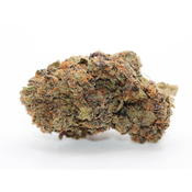 Pink Afgoo HYDROPONIC 🔥 Premium AAAA+ ⛽️⛽️⛽️⛽️
