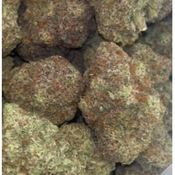 Fruit Loops Kraft Cannabis | SATIVA | 34-38% THC | $150 an oz | $225 for 2 Oz |  thumbnail 2