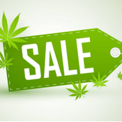 Sale Items and Freebies