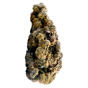 Cookie'z (French Cookies) 7g <br>Sativa <br>33.10% | 2.05% Terps