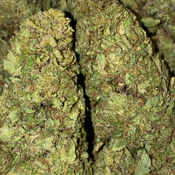 Cali lemon kush(2 ozs for 160)