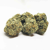 Astro Bubba