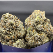  ⛽ AAAA+ | GARDEN PINK BY GAS GARDENS 14G