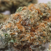 (NEW) Durban Poison 🐍 ($85/Oz 2x 0z For $150) 🔥 🔥 thumbnail 4