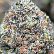 (28G) - Love OG 💘⛽😮‍💨Indica | 2Oz Bulk Deal for $220 thumbnail 4