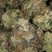 Bc pink death popcorn(gassy and small  buds from quad pack)(2 ozs for 160)