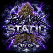 BLACK STATIC🔥🔥🔥🔥🔥 