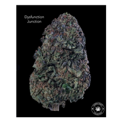 AA+ - DYSFUNCTION JUNCTION