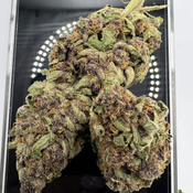 *NEW* Black Mamba 4A