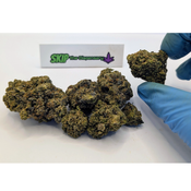 Elmer's Glue  thumbnail 2