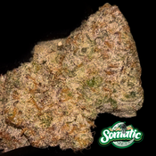 Apple Tarts 29% EXO ⭐️⭐️⭐️⭐️ $100 oz , $150 2 ozs , 