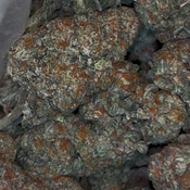 Dripadelic | 26-32% THC | HYBRID | $100 an oz | $150 for 2oz |  thumbnail 2