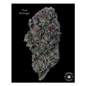 AA+ - PURE MICHIGAN