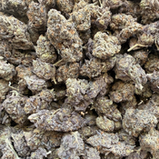 FALCON 9 120OZ 2FOR220 4FOR420 thumbnail 2