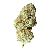 *********BubbleGum Gelato 