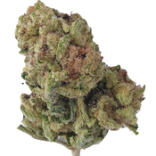 BC (AAA) GOLDBERRY thumbnail 3