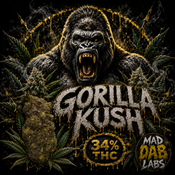 GORILLA KUSH🔥🔥🔥🔥🔥