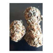 Purple Mimosa AA+