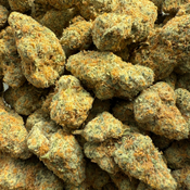 ASTRO POP 100OZ 2FOR180 4FOR340 