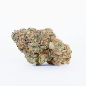 Burmese Bang Bang | 3.5g Indoor