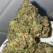 Citrus kush(2 ozs for 130,3 ozs for 190,5 ozs for 275)