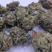 Dubai Kush thumbnail 3