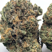*NEW* Pineapple Poison 3A // 2oz for $140